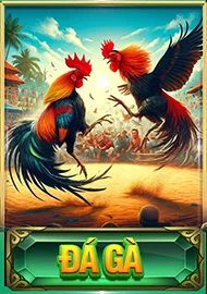TRANG CHỦ 7 da ga